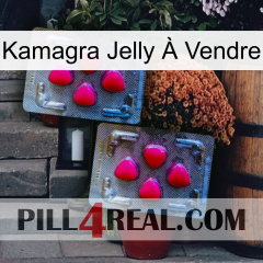 Kamagra Jelly À Vendre 14